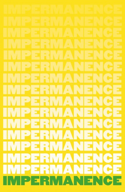 Impermanance - 12 essays by authors from or living in Northern Ireland written against the backdrop of Brexit, the Covid pandemic and the centenary of the partition of Ireland. Co-edited by Neil Hegarty