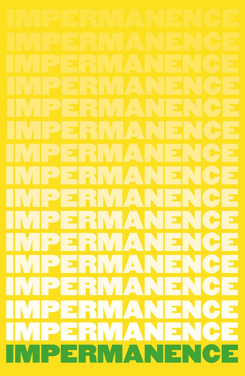 Impermanance - 12 essays by authors from or living in Northern Ireland written against the backdrop of Brexit, the Covid pandemic and the centenary of the partition of Ireland. Co-edited by Neil Hegarty