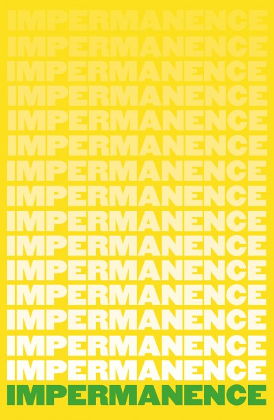 Impermanance - 12 essays by authors from or living in Northern Ireland written against the backdrop of Brexit, the Covid pandemic and the centenary of the partition of Ireland. Co-edited by Neil Hegarty